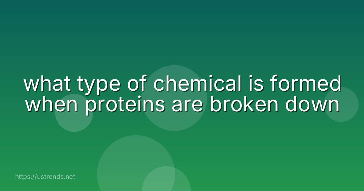 what type of chemical is formed when proteins are broken down