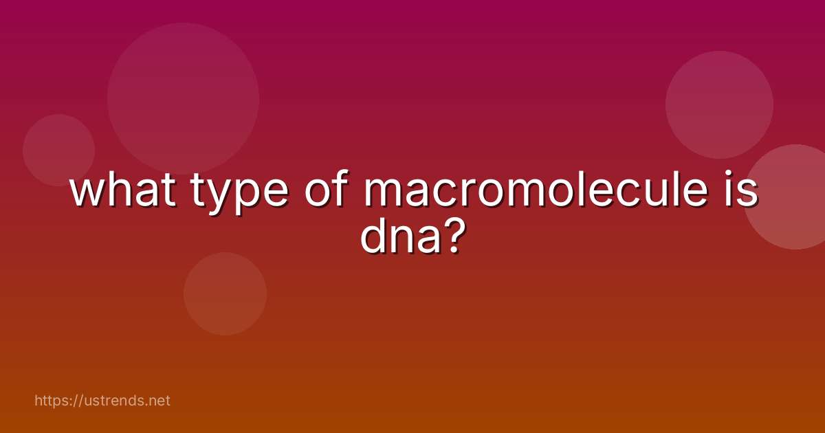 what type of macromolecule is dna?