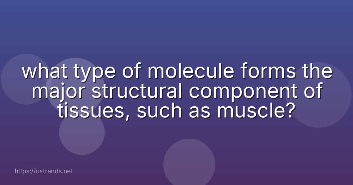 what type of molecule forms the major structural component of tissues, such as muscle?