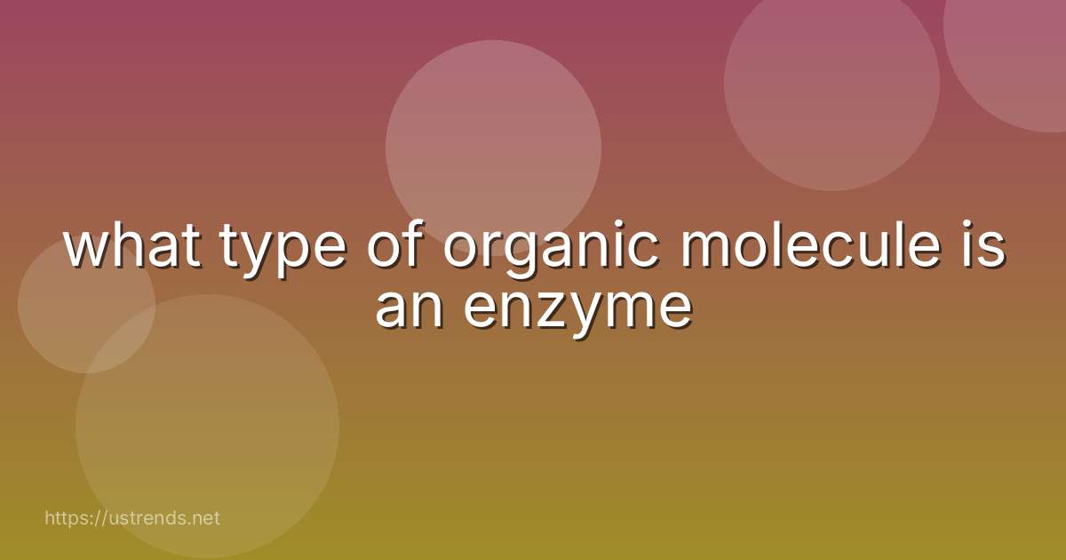 what type of organic molecule is an enzyme