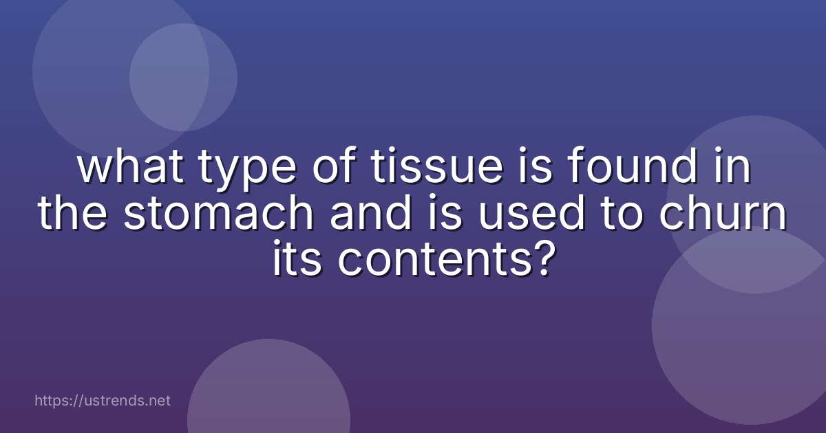 what type of tissue is found in the stomach and is used to churn its contents?