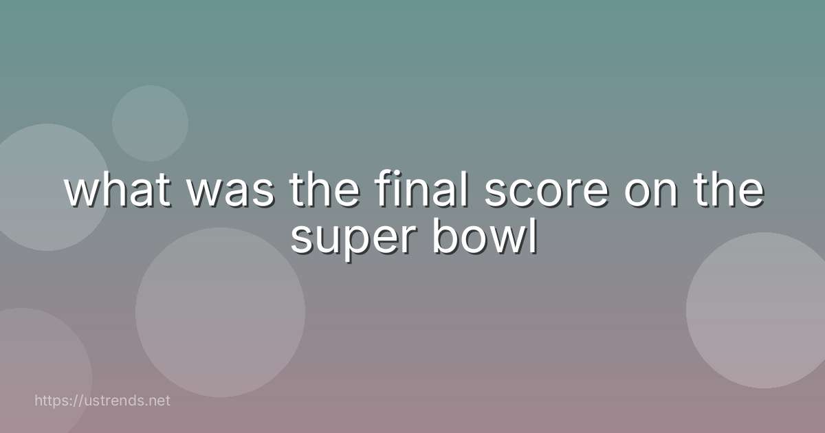 what was the final score on the super bowl