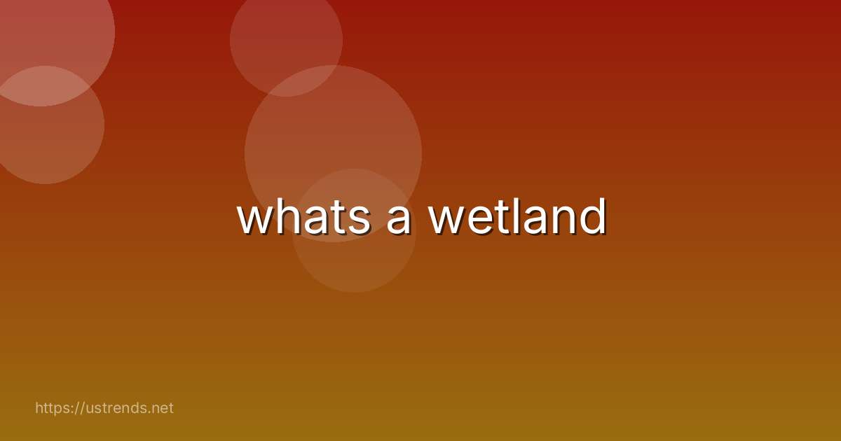 whats a wetland