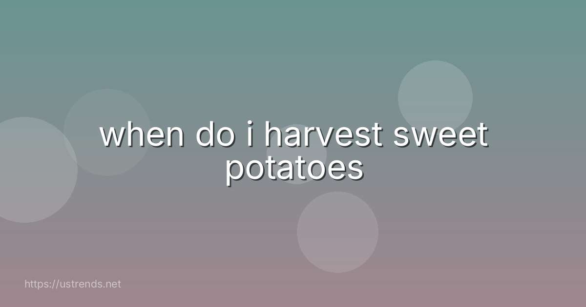 when do i harvest sweet potatoes
