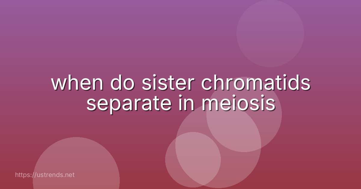 when do sister chromatids separate in meiosis