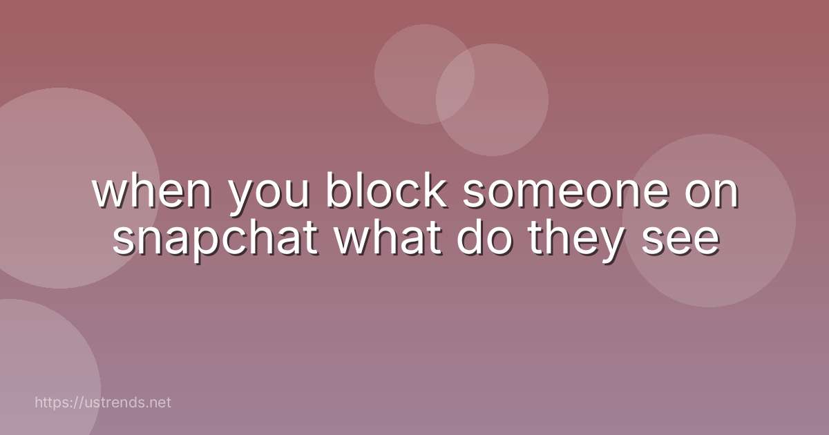 when you block someone on snapchat what do they see