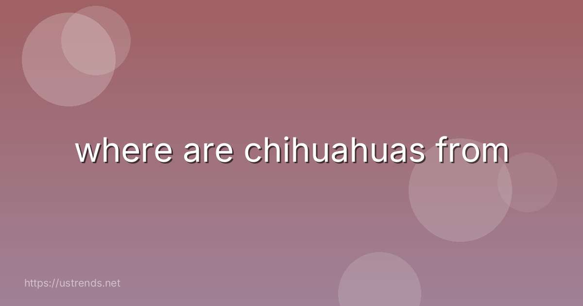 where are chihuahuas from