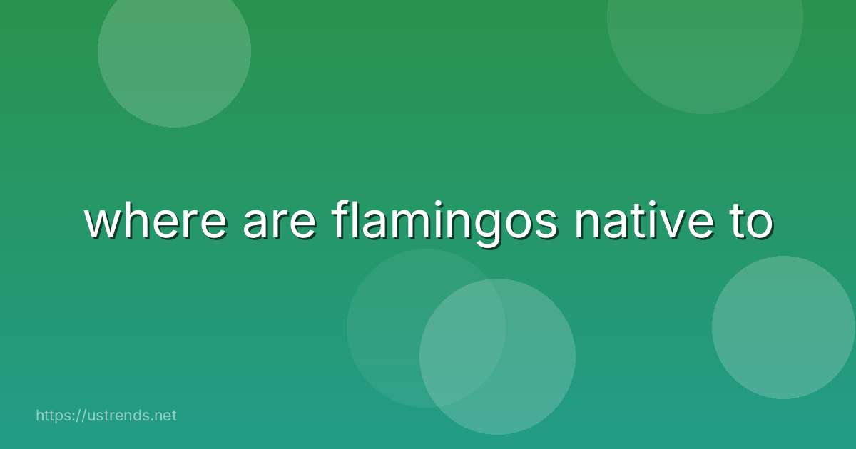 where are flamingos native to