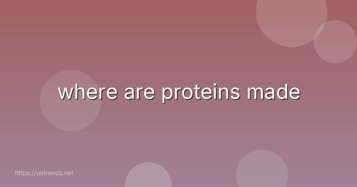 where are proteins made