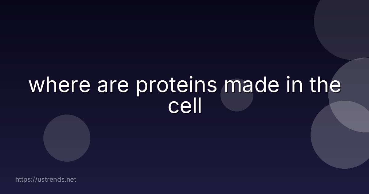 where are proteins made in the cell