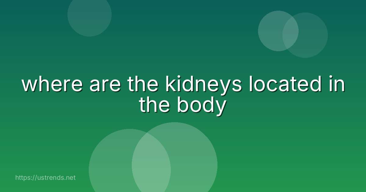 where are the kidneys located in the body