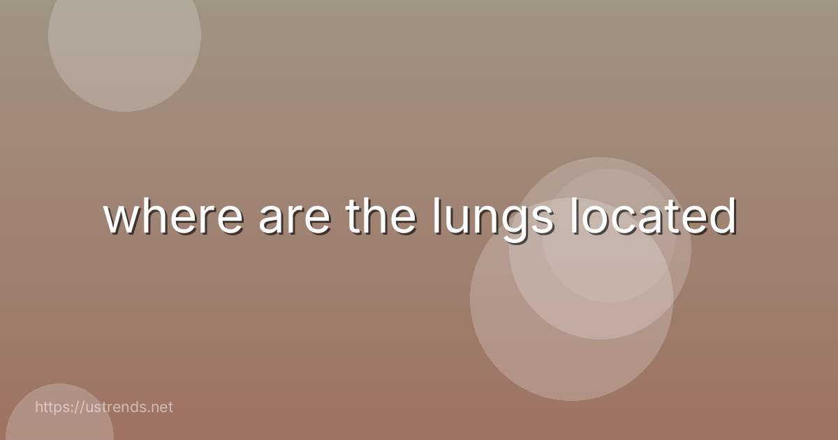 where are the lungs located