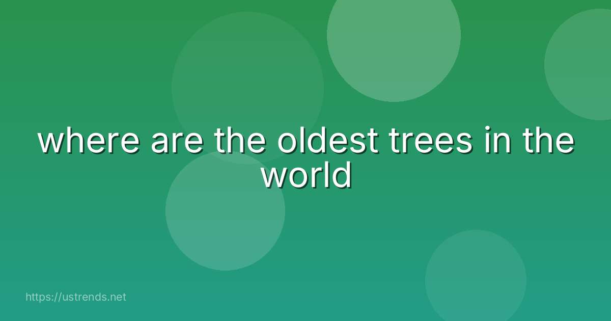 where are the oldest trees in the world