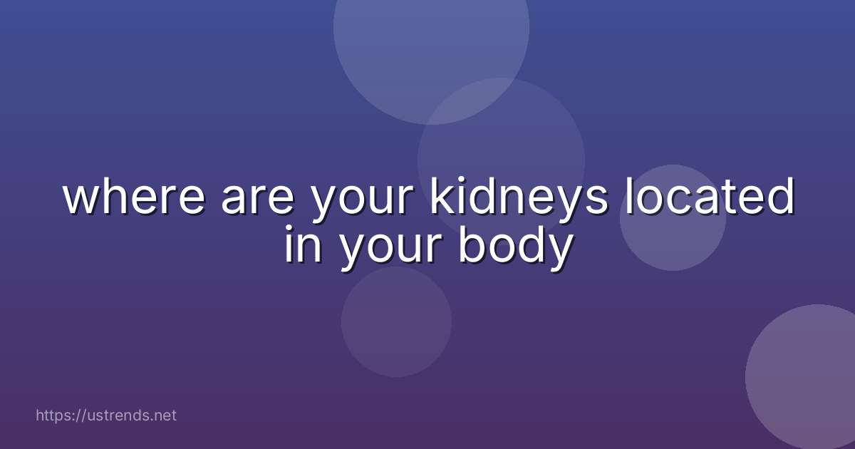 where are your kidneys located in your body