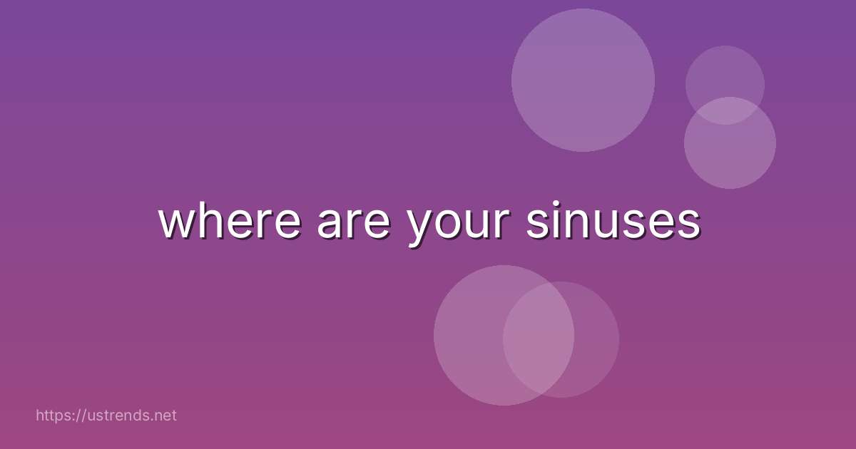 where are your sinuses
