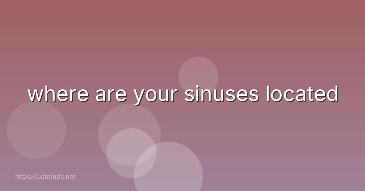 where are your sinuses located