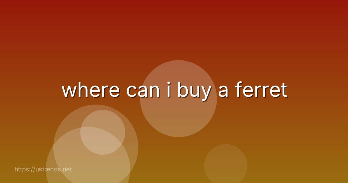 where can i buy a ferret