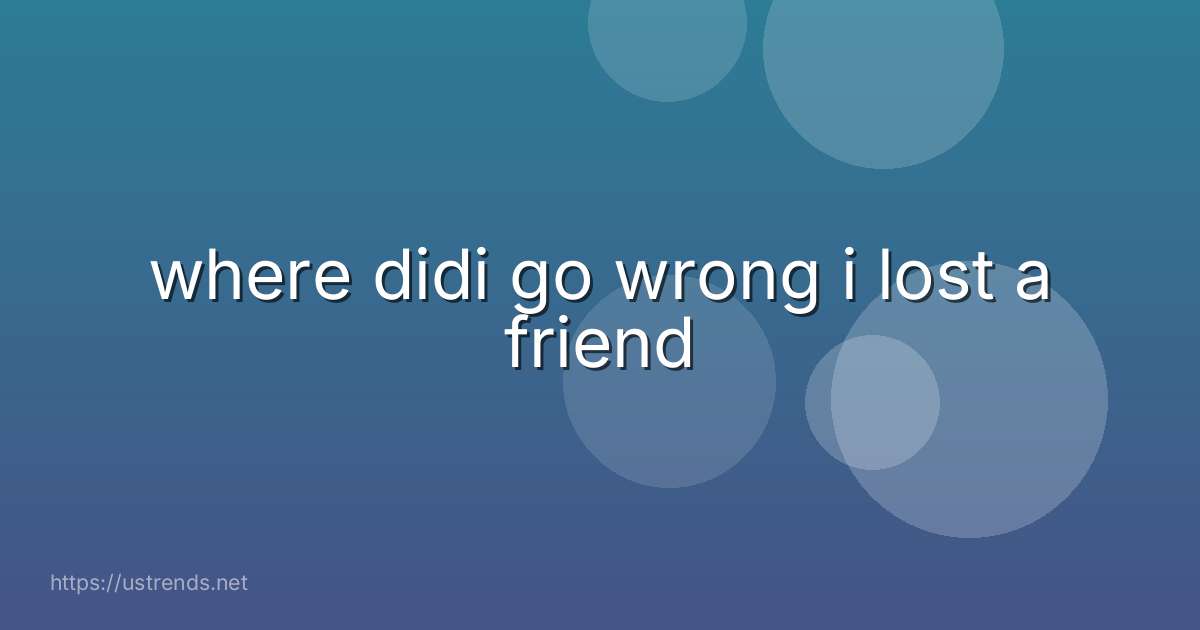 where didi go wrong i lost a friend