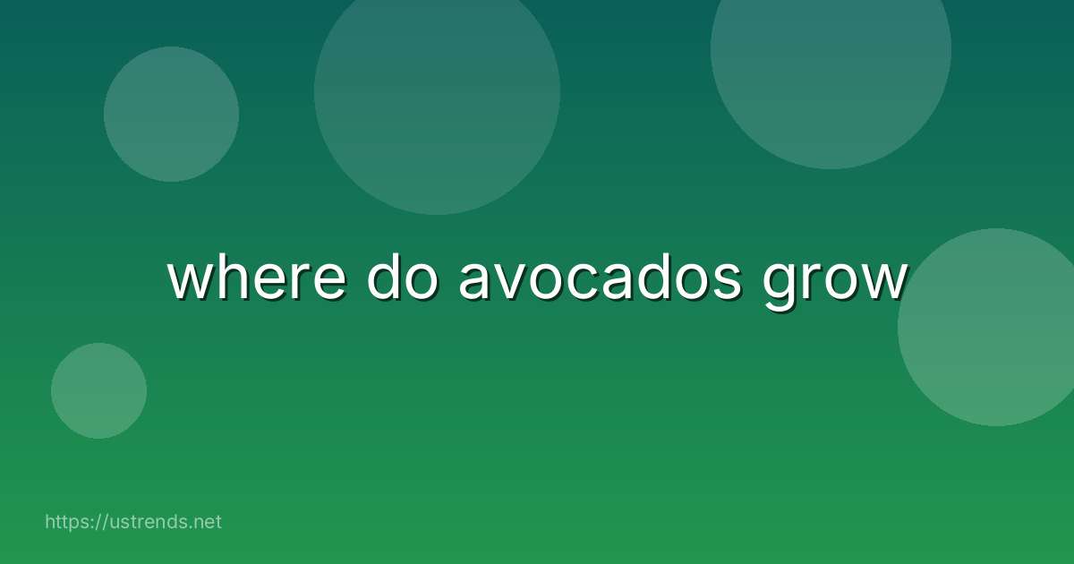 where do avocados grow
