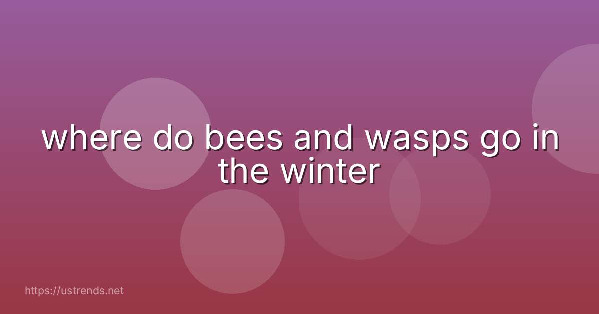 where do bees and wasps go in the winter