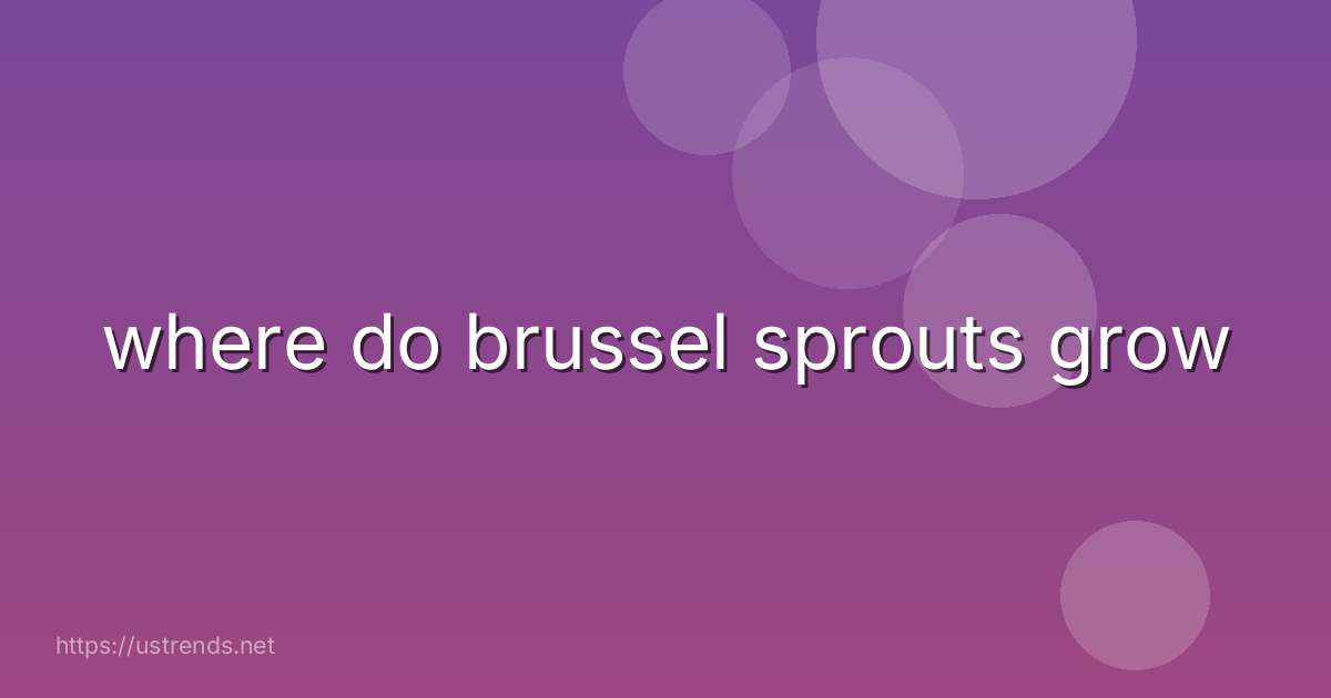 where do brussel sprouts grow