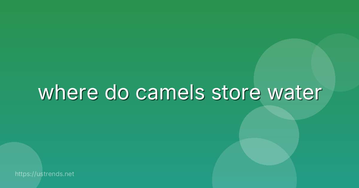 where do camels store water