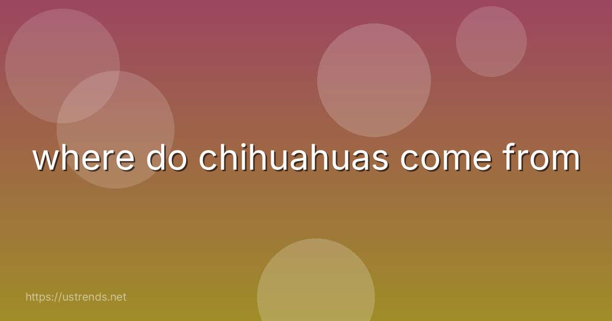 where do chihuahuas come from