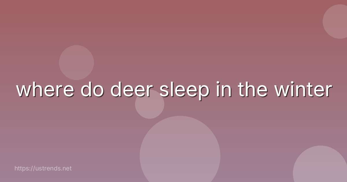 where do deer sleep in the winter