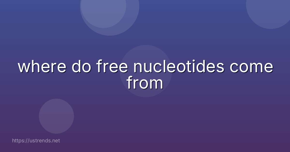 where do free nucleotides come from