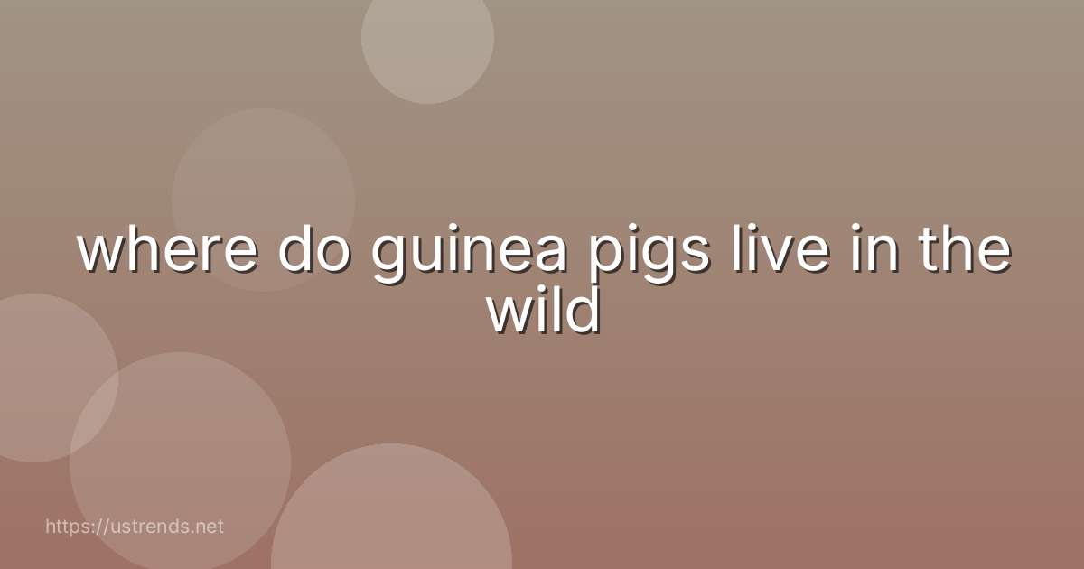 where do guinea pigs live in the wild