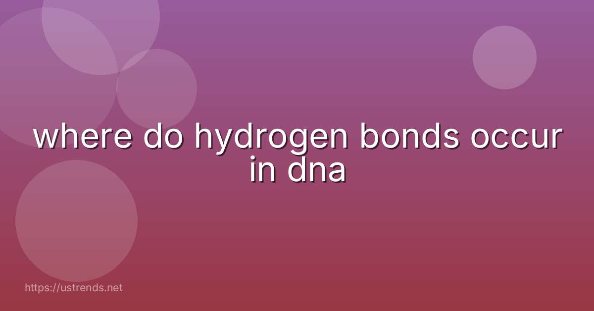 where do hydrogen bonds occur in dna