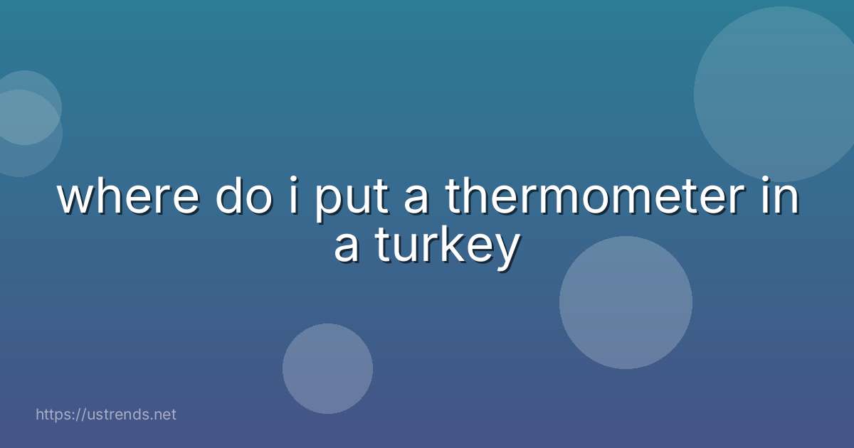 where do i put a thermometer in a turkey
