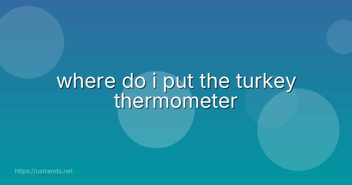 where do i put the turkey thermometer