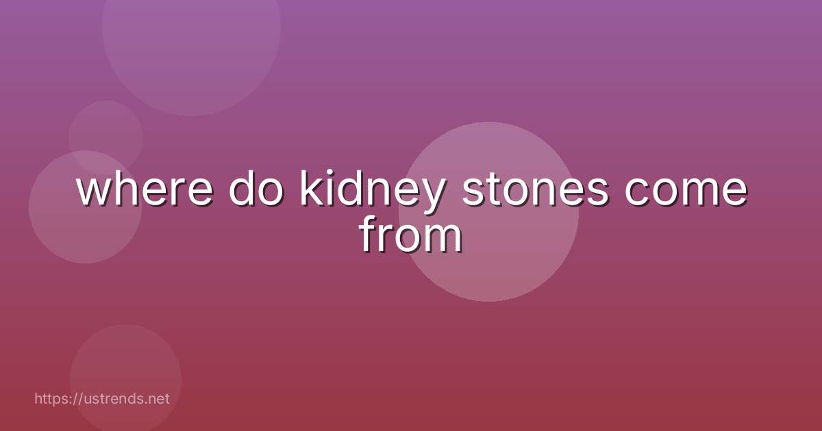 where do kidney stones come from