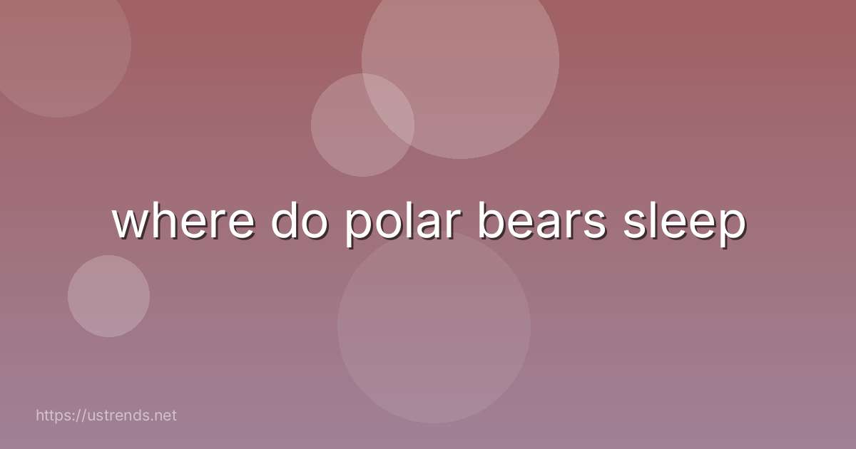 where do polar bears sleep