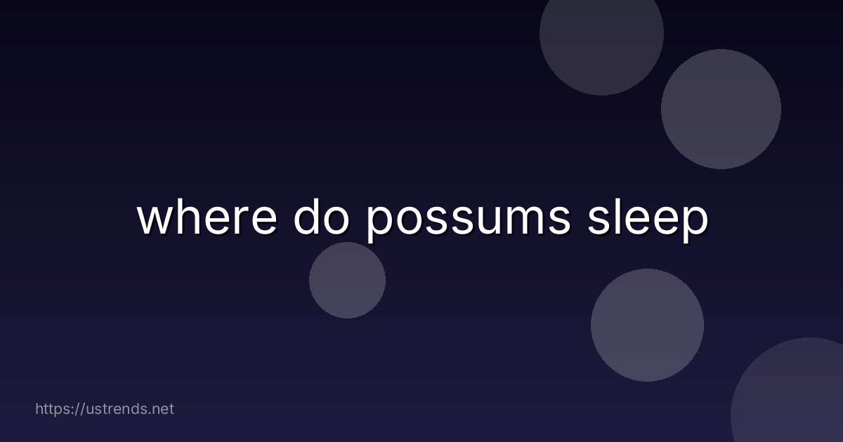 where do possums sleep