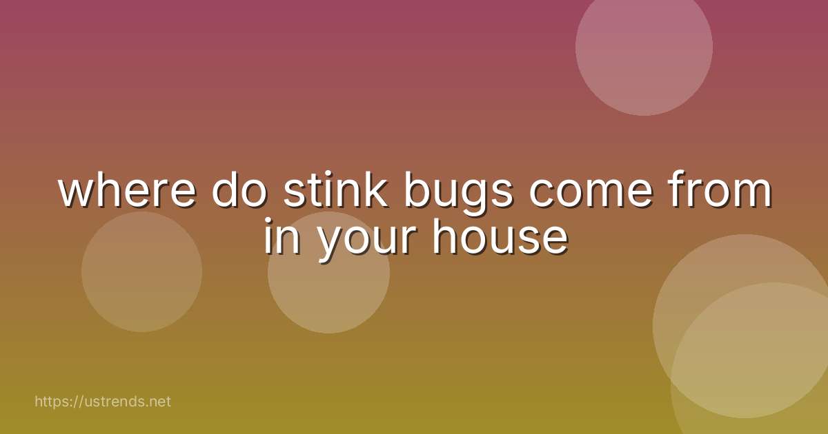 where do stink bugs come from in your house