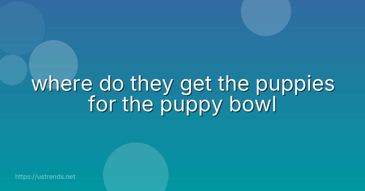 where do they get the puppies for the puppy bowl