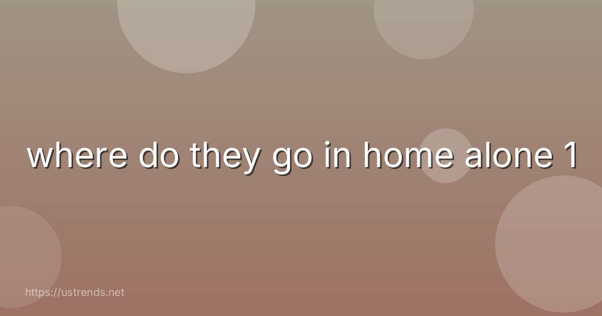 where do they go in home alone 1