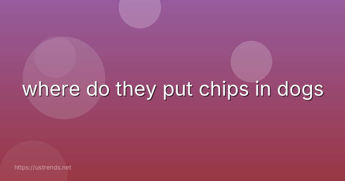 where do they put chips in dogs