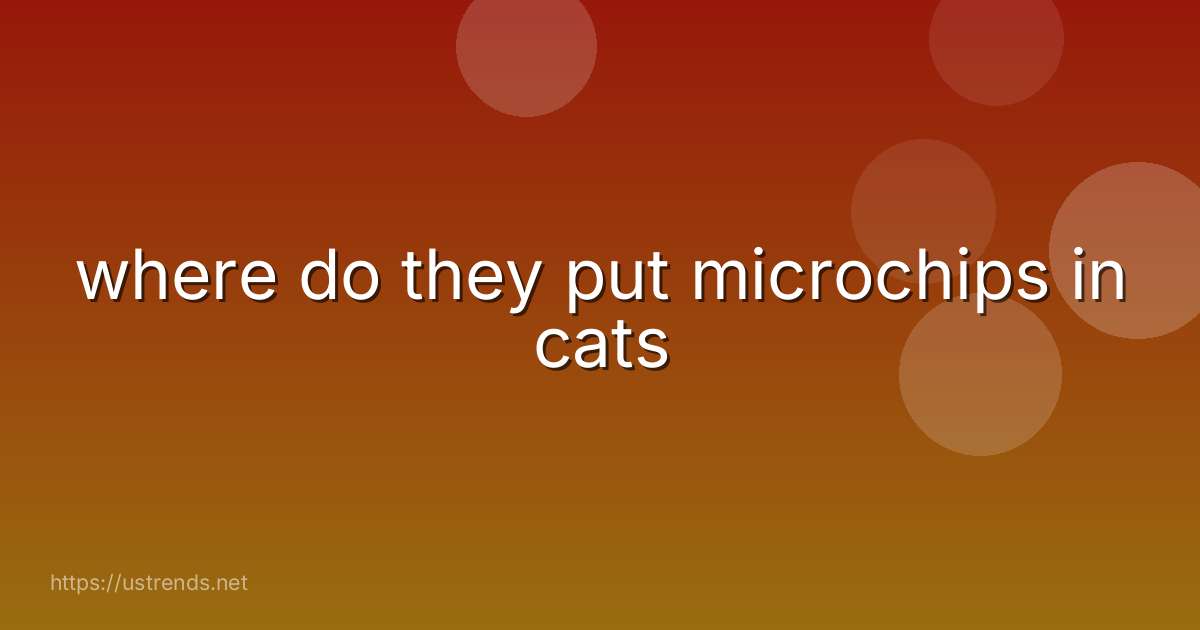 where do they put microchips in cats