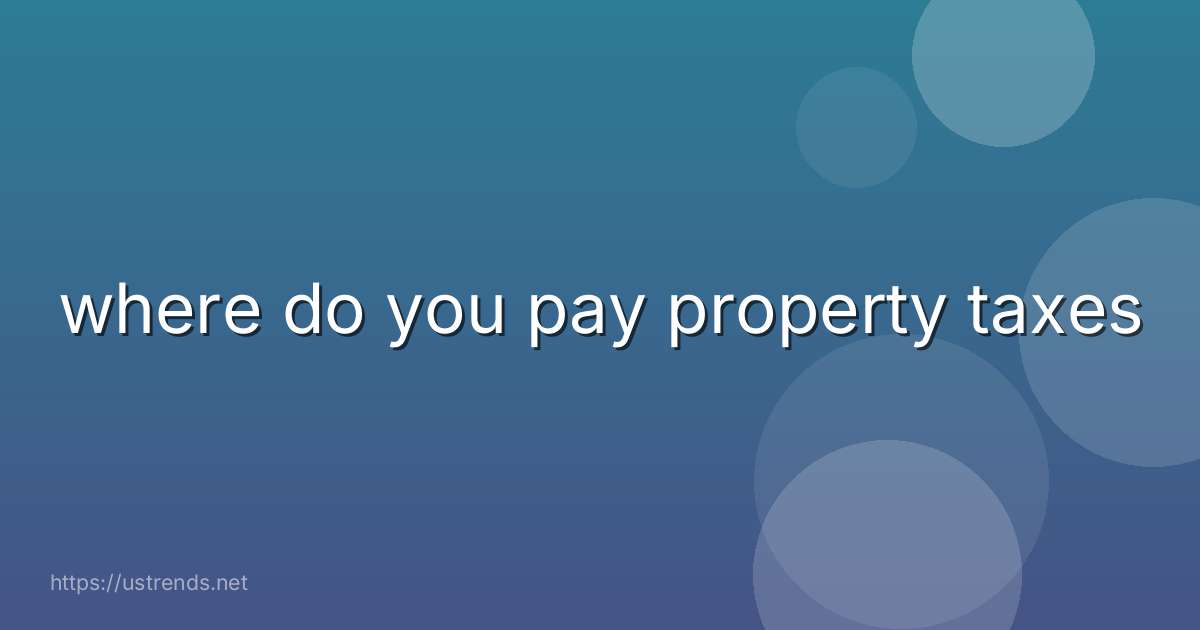 where do you pay property taxes