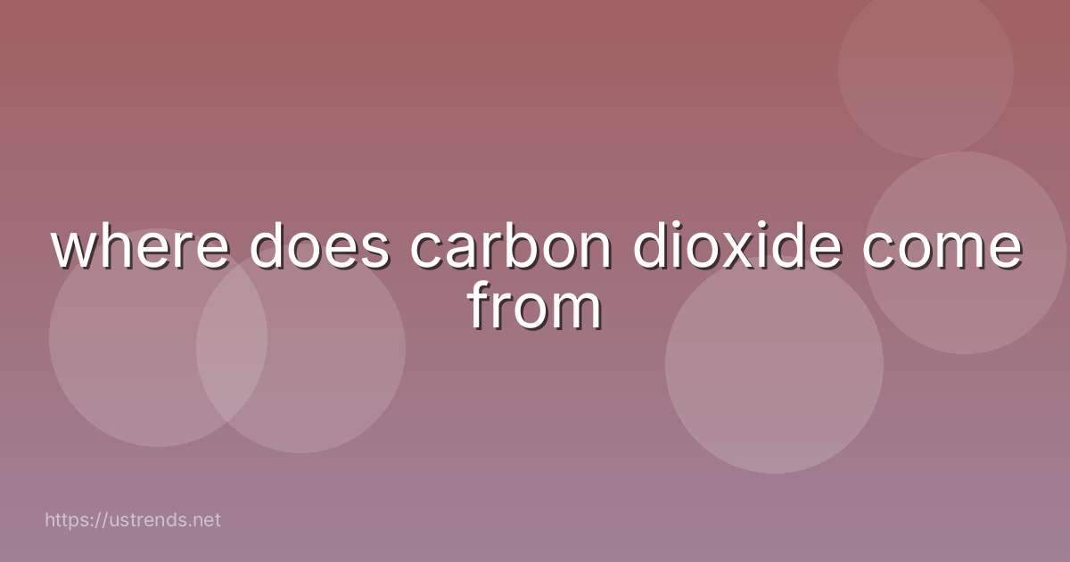 where does carbon dioxide come from