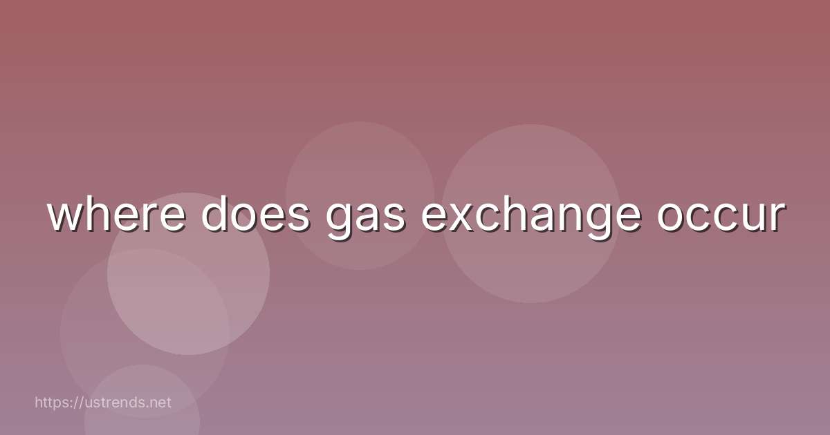 where does gas exchange occur