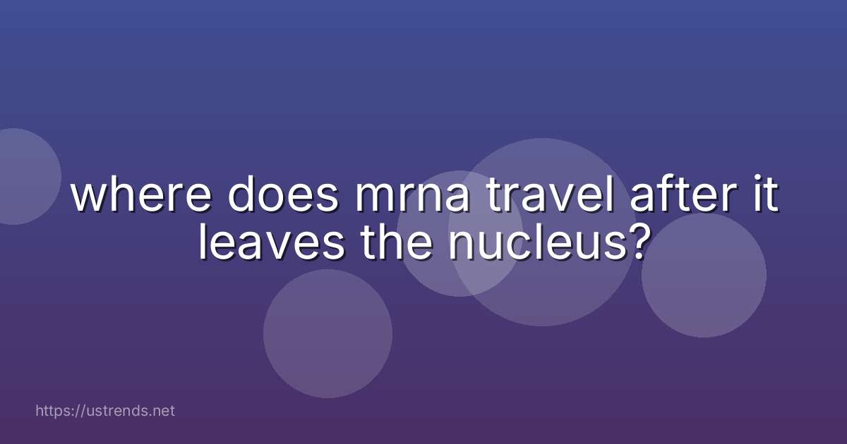 where does mrna travel after it leaves the nucleus?