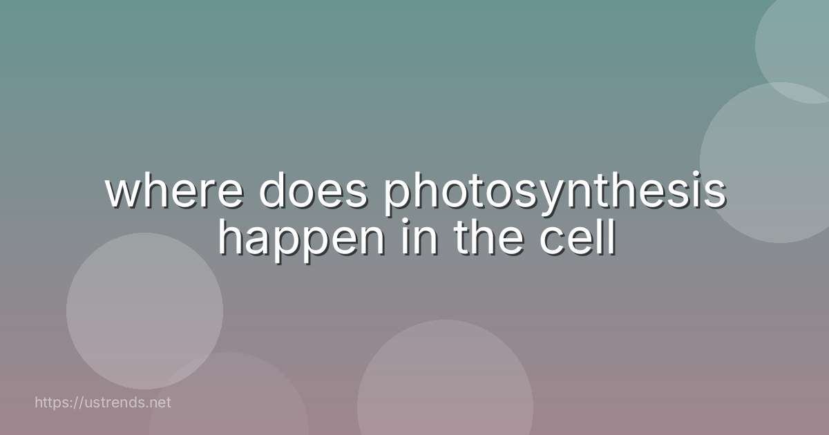 where does photosynthesis happen in the cell