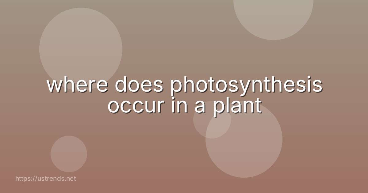 where does photosynthesis occur in a plant