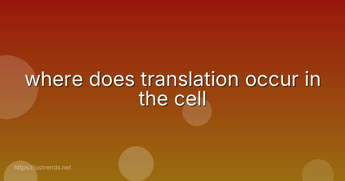 where does translation occur in the cell