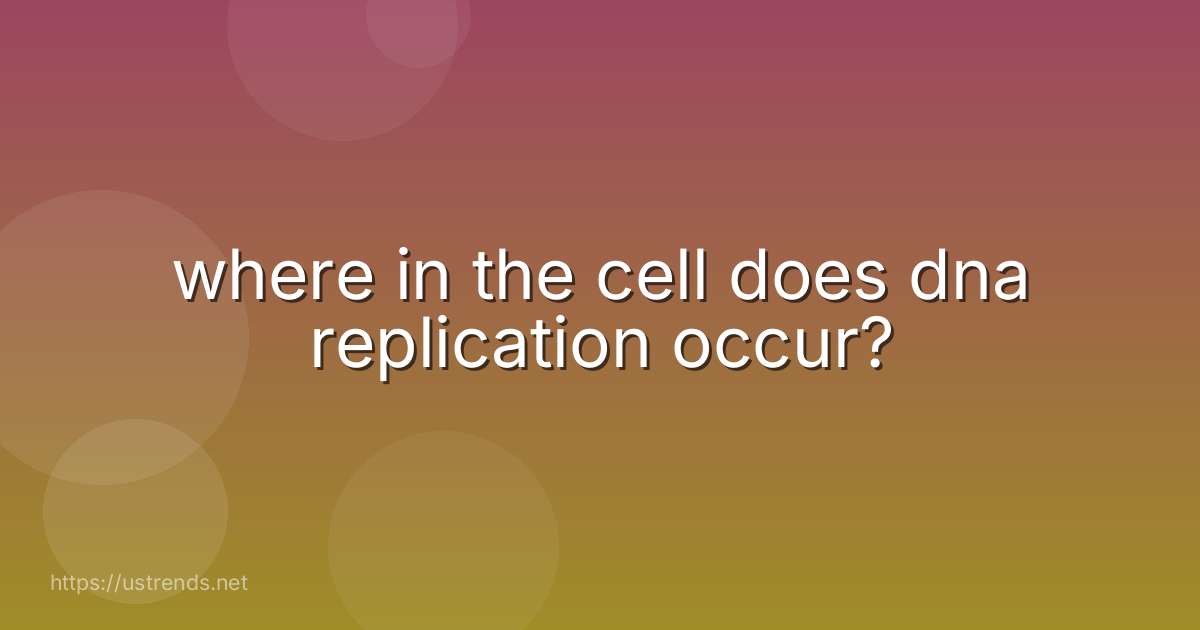 where in the cell does dna replication occur?