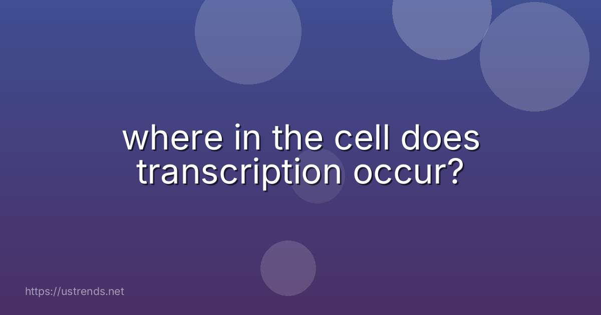 where in the cell does transcription occur?